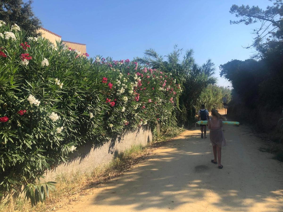 La Corse Tranquille 300M De La Plage Et Piscine Linguizzetta Exterior foto